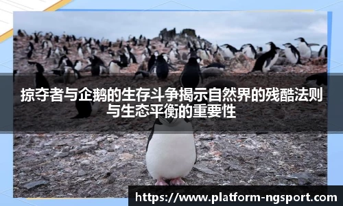 南宫体育官网